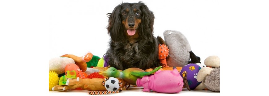 Nuestros juguetes para perros favoritos: ¡diviértete con tu mascota!